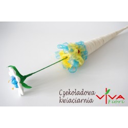 Gerberka Czerwono-Biała