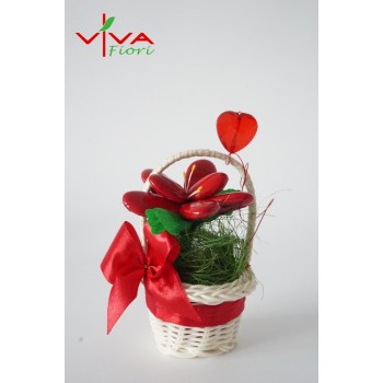 Magnolia w Koszyczku