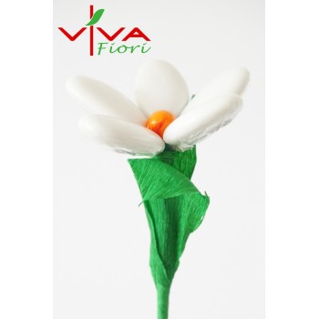 Margaretka Środek Pomarańczowy