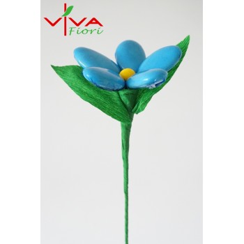 Margaretka Niebieska