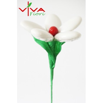 Margaretka Środek Czerwony