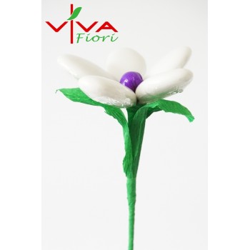 Margaretka Środek Fioletowy