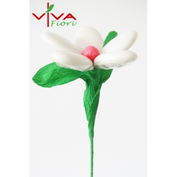 Margaretka Środek Różowy