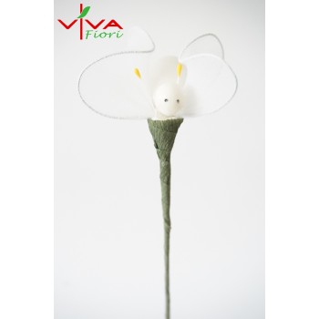 Motylek Calza Biały