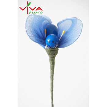 Motylek Calza Niebieski